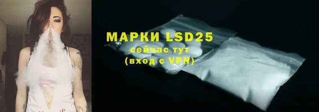 мяу мяу мука Коряжма