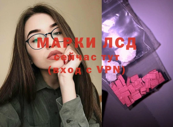 шишки Мегион