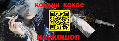 шишки Гай