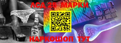 шишки Гай