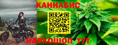 шишки Гай