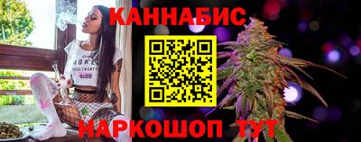 шишки Гай