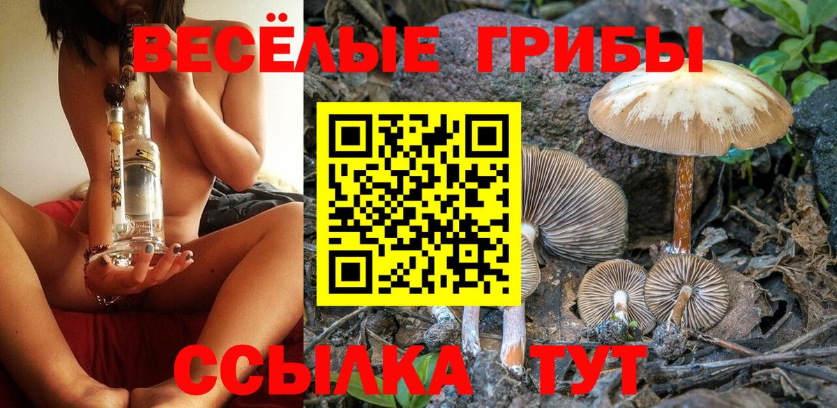 Галлюциногенные грибы прущие грибы  Псилоцибиновые грибы мицелий  Кропоткин 