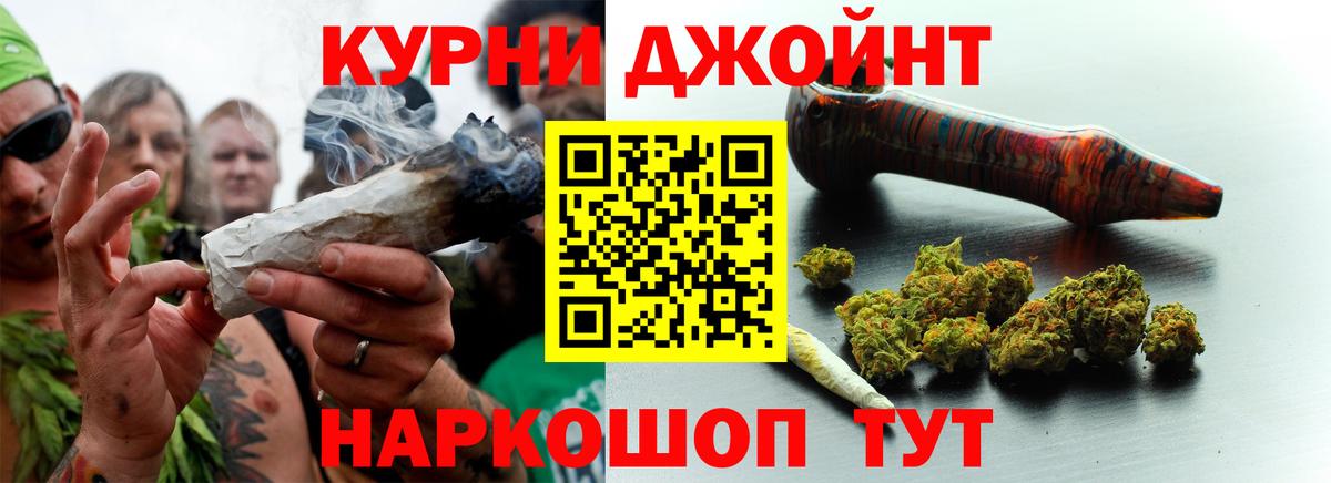 Конопля сатива  Кропоткин  Бошки Шишки VHQ  Марихуана планчик 